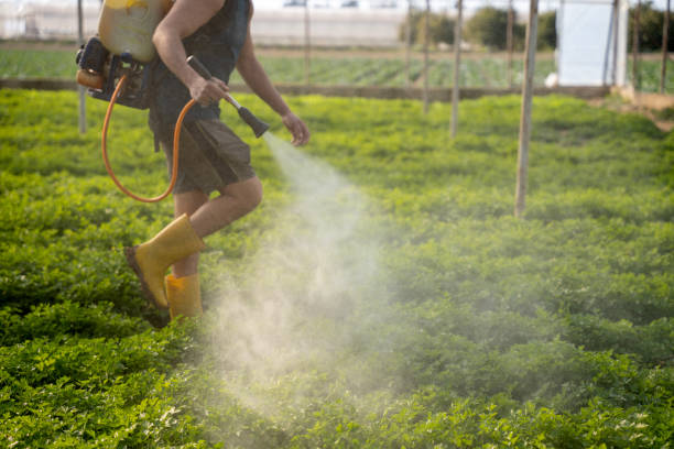 Best Mosquito Control Services  in Ellis, KS