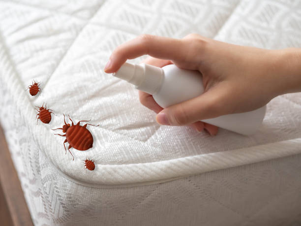 Best Pest Removal Services  in Ellis, KS