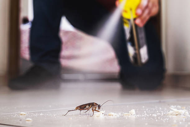 Best Insect Control  in Ellis, KS