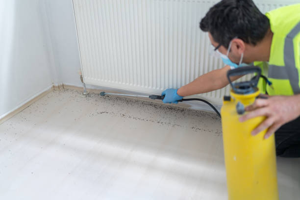 Best Best Pest Control Companies  in Ellis, KS